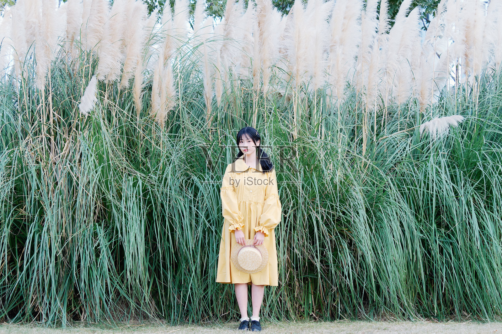 一幅美丽的中国女孩的户外肖像，穿着黄色的衣服，戴着草帽，梳着两个马尾辫，平静地站在镜头前，美丽、情感、表情和人们的生活理念。照片摄影图片