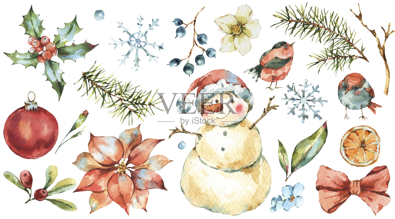 冬季水彩圣诞树枝，鸟，冬青，雪人，浆果，一品红。插画图片素材