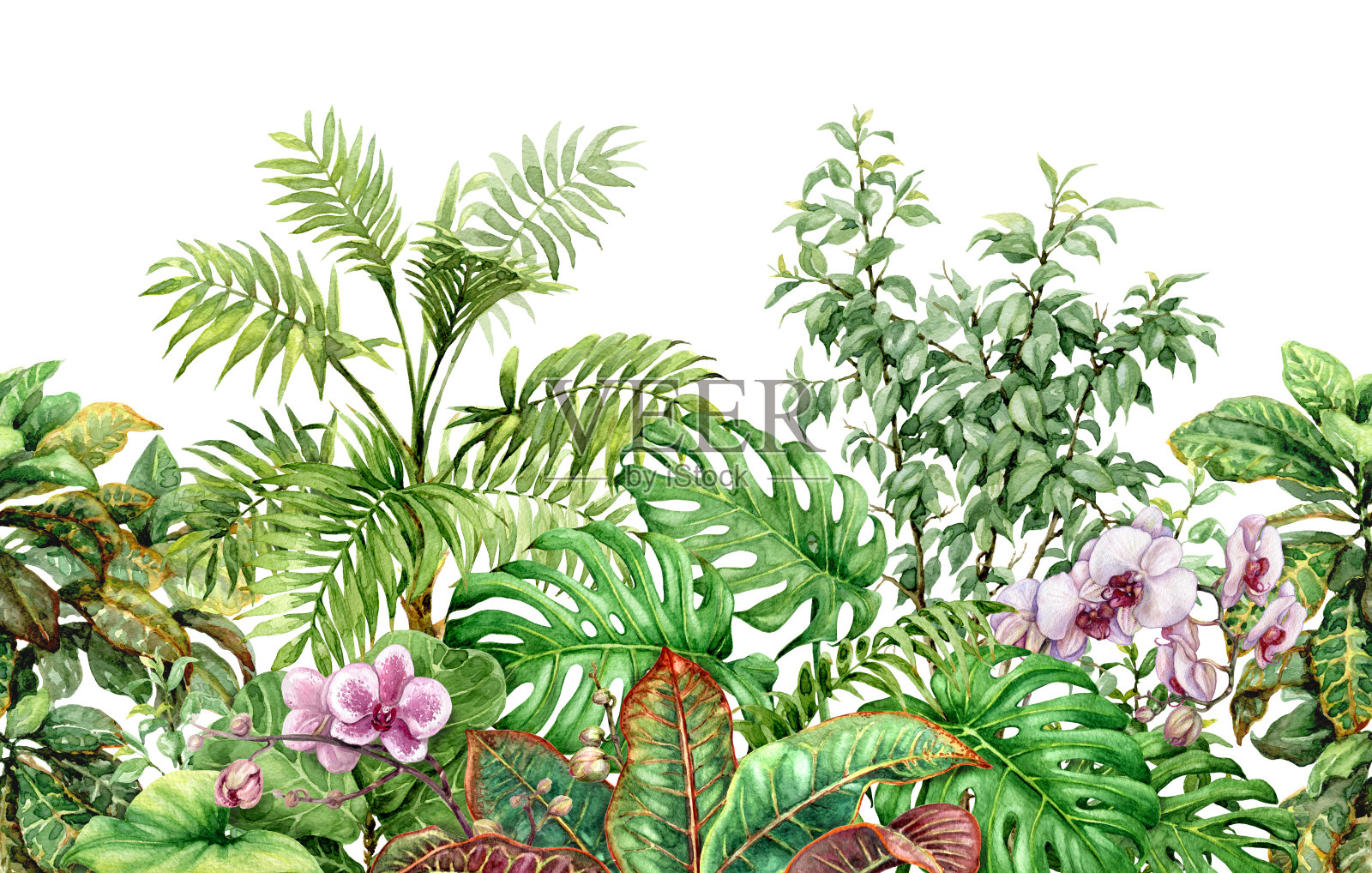 热带植物线条无缝模式插画图片素材