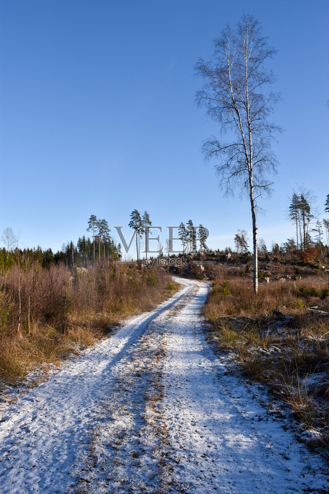 美丽的乡村公路在冬季照片摄影图片