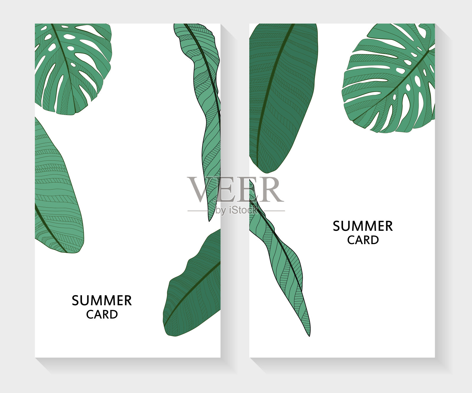 棕榈叶夏季卡片矢量背景插图插画图片素材