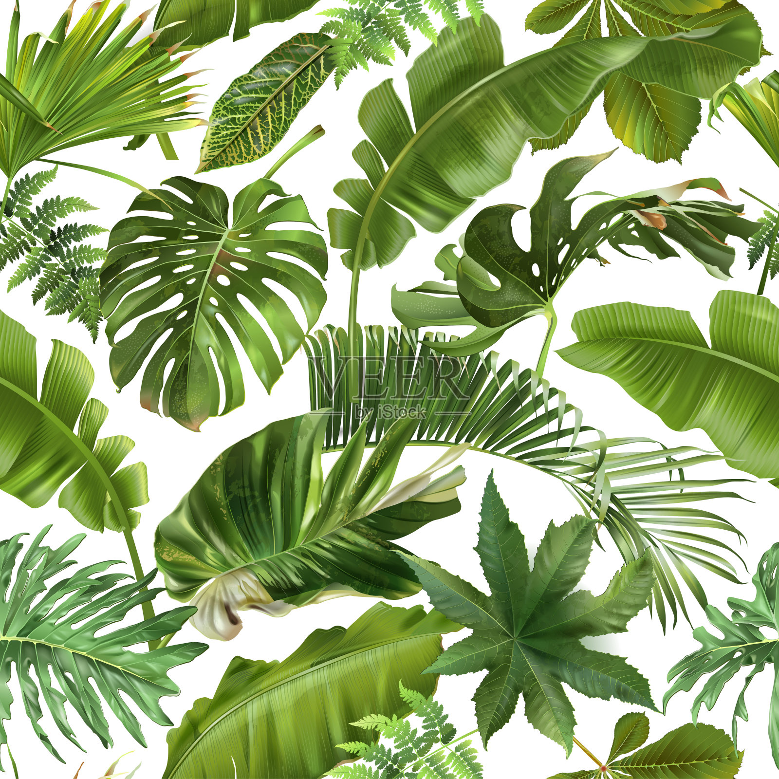 矢量无缝模式与绿色热带树叶插画图片素材