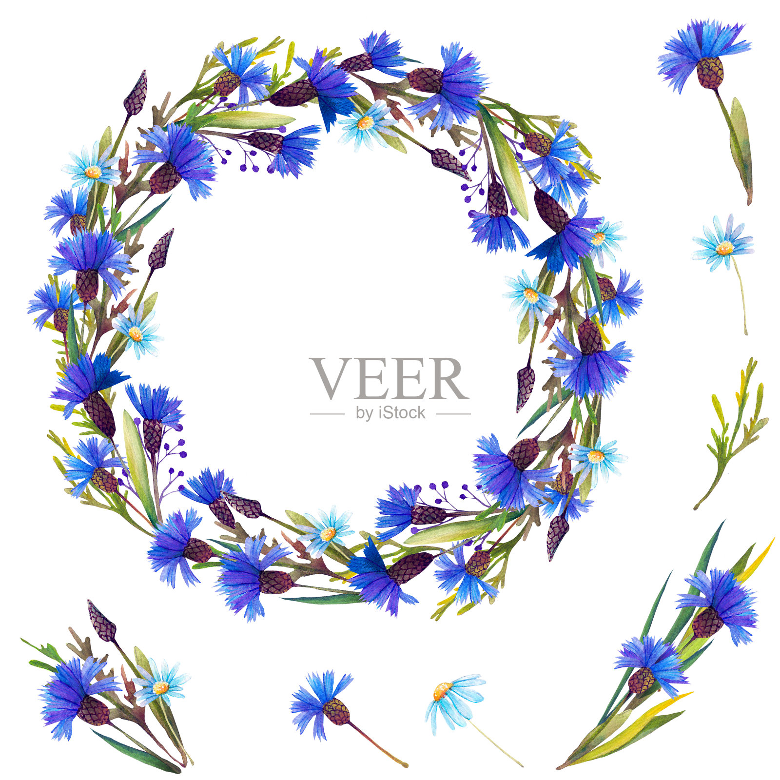 水彩花环与蓝色矢车菊和雏菊。插画图片素材