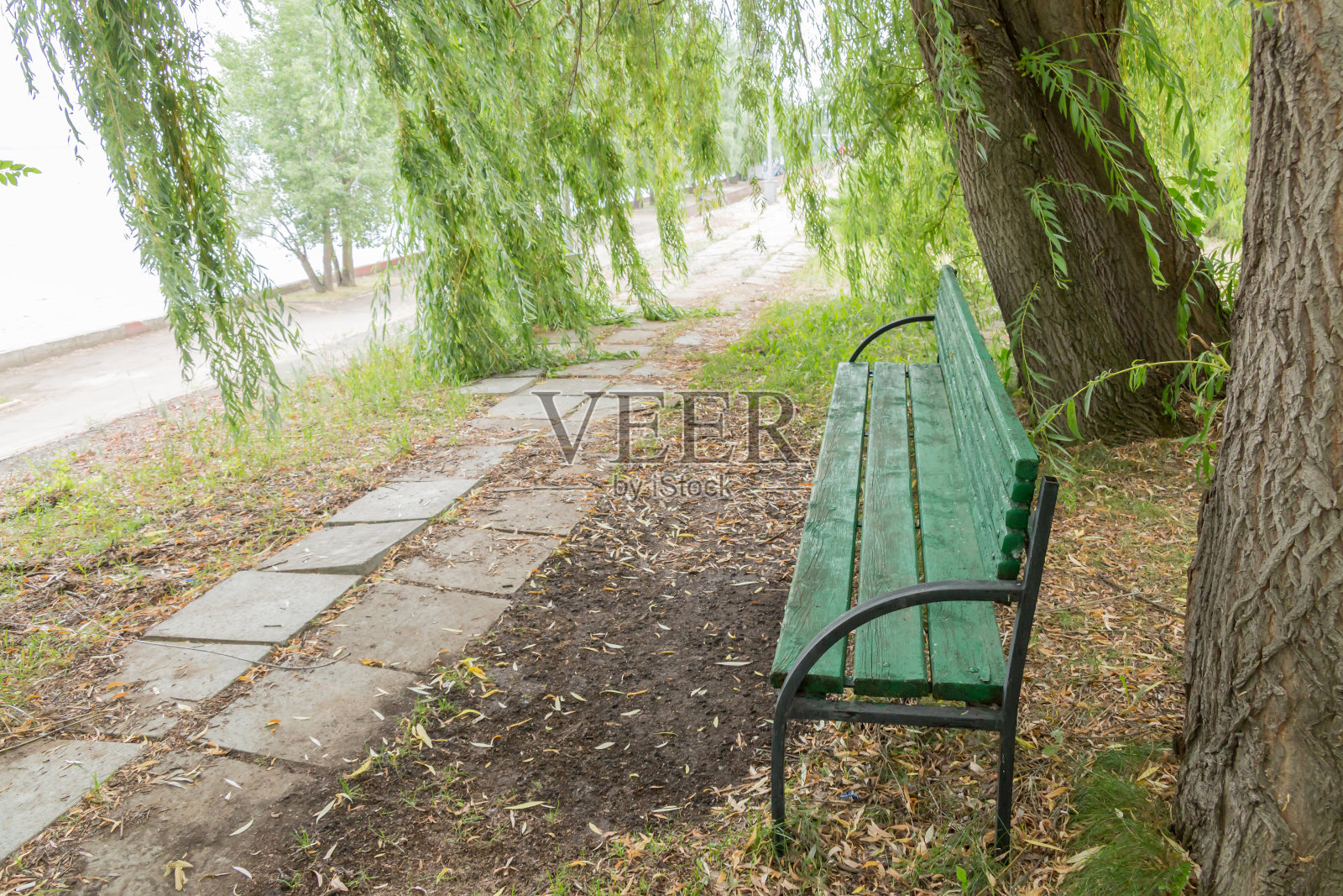 柳树荫下的绿色木凳。城市公园照片摄影图片