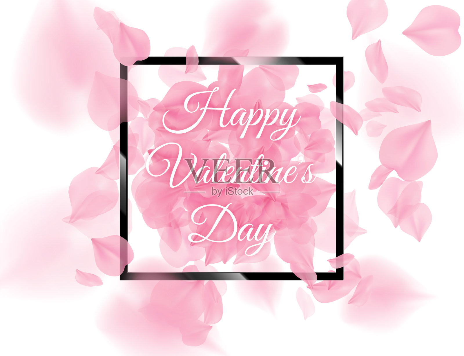 情人节快乐，黑色的方框，粉红色的圣歌花瓣落在白色的背景上。向量玫瑰花3D浪漫插画。春光温柔的背景。温柔浪漫的设计插画图片素材