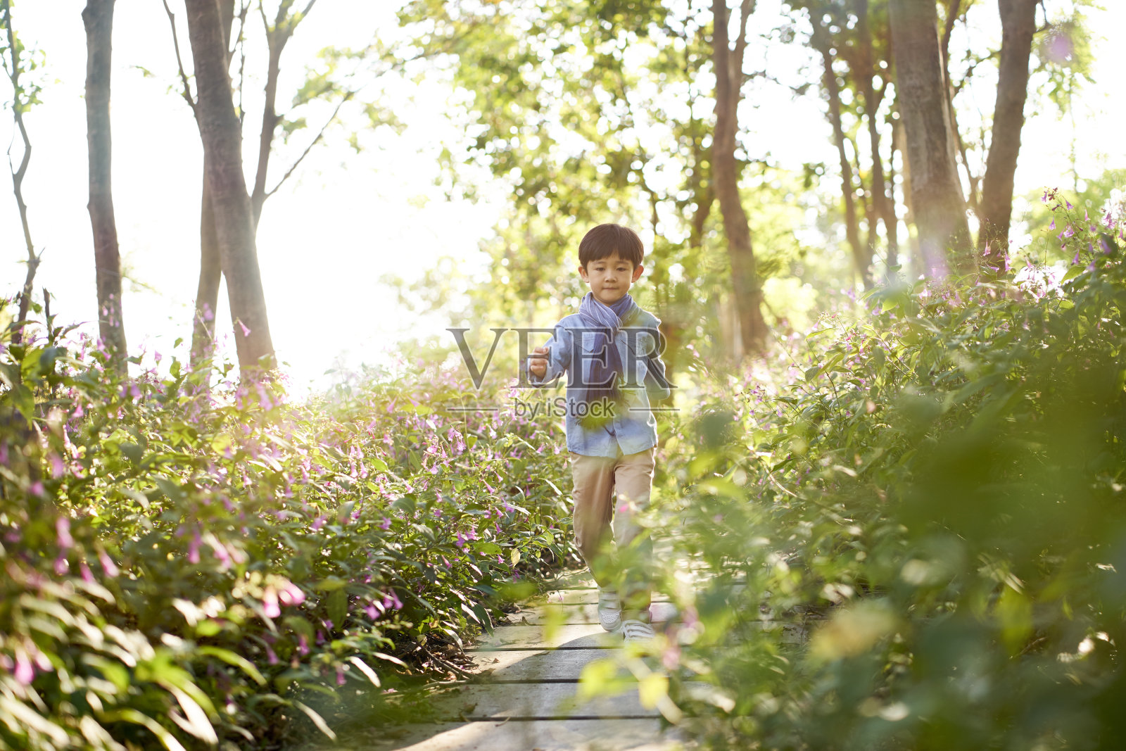 一个亚洲小男孩走过一片花丛照片摄影图片