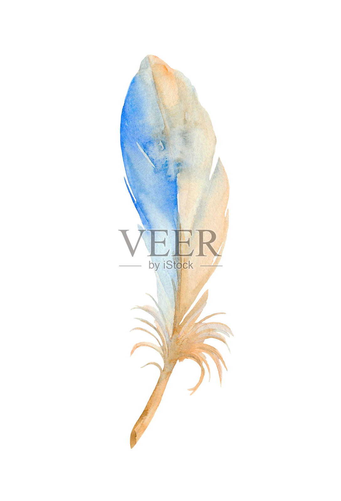 普通翠鸟的程式化的蓝色羽毛。水彩插图。插画图片素材