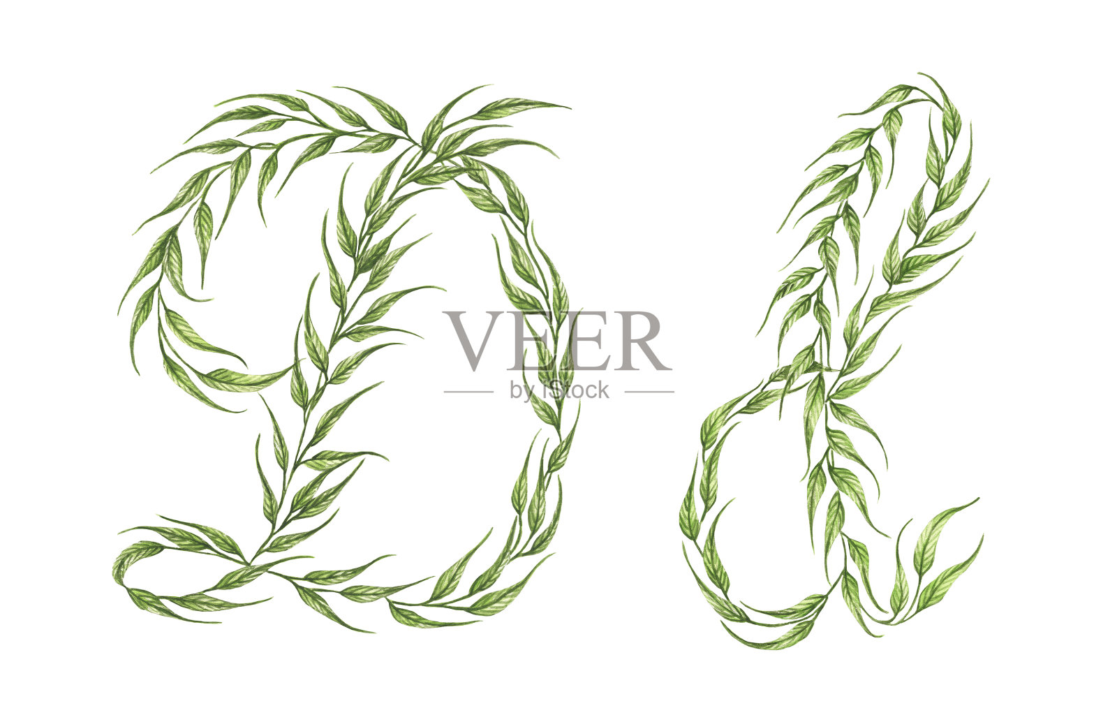 字母绿色的叶子与字母d水彩插图。插画图片素材
