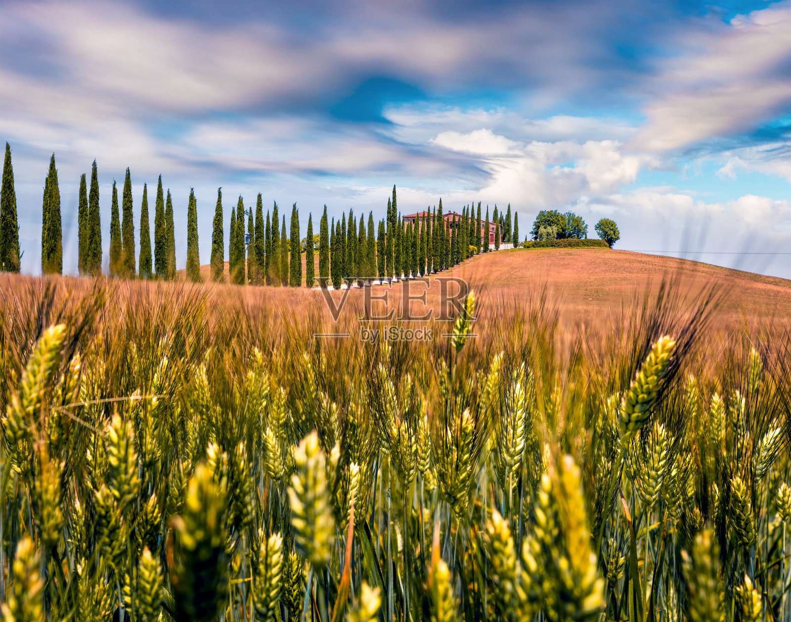 经典的托斯卡纳风景与农舍和柏树。丰富多彩的意大利乡村夏日景色，瓦尔德奥西亚山谷，圣基里科德奥西亚位置。美丽的乡村概念背景。照片摄影图片