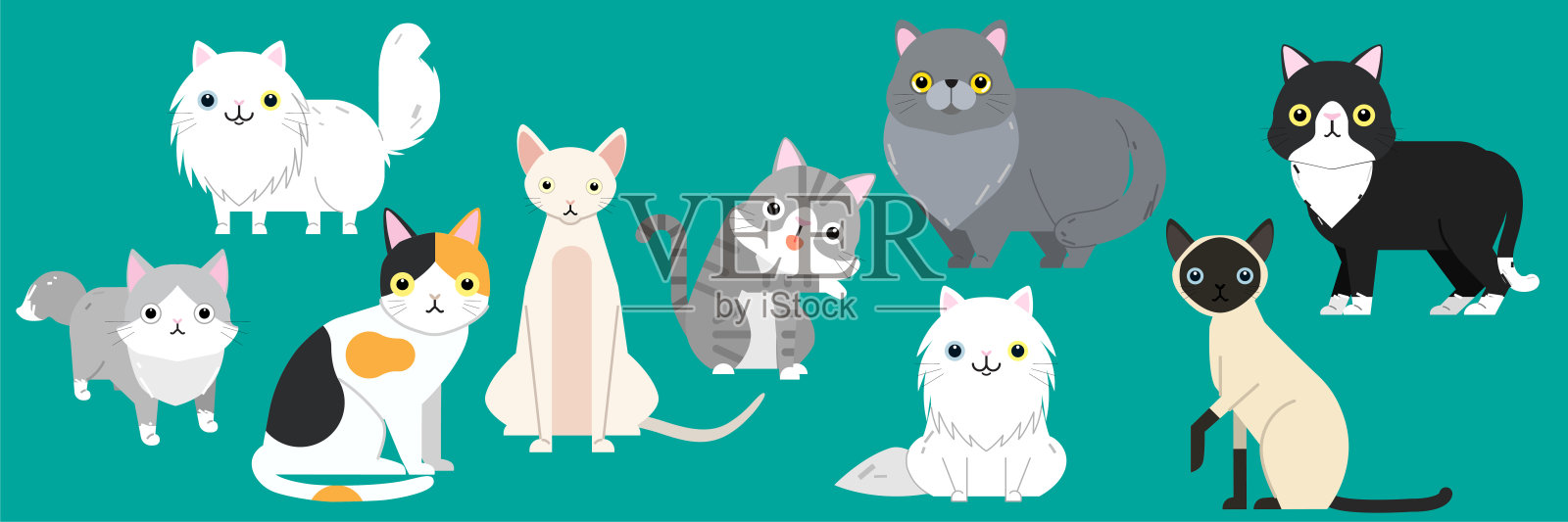 有趣的卡通猫人物不同品种的可爱宠物动物集插画图片素材