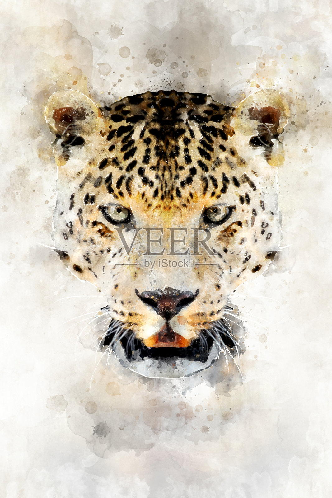 豹-水彩插图肖像照片摄影图片