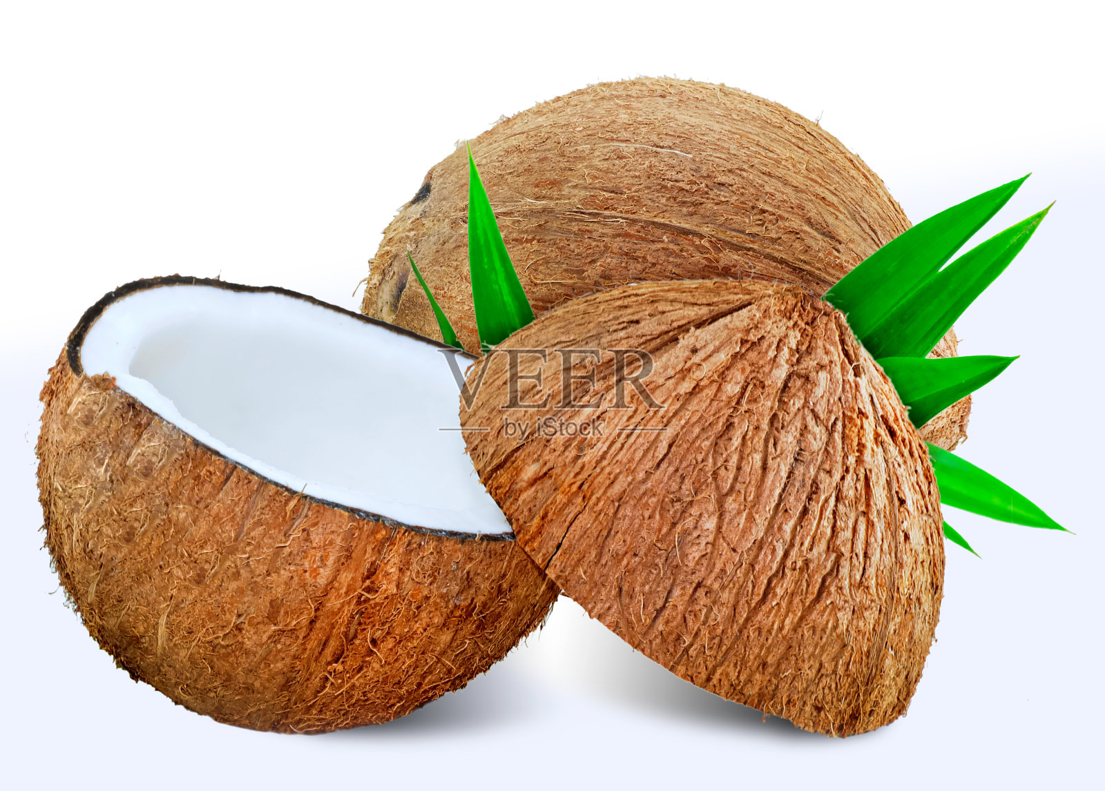 椰子果孤立在白色上照片摄影图片