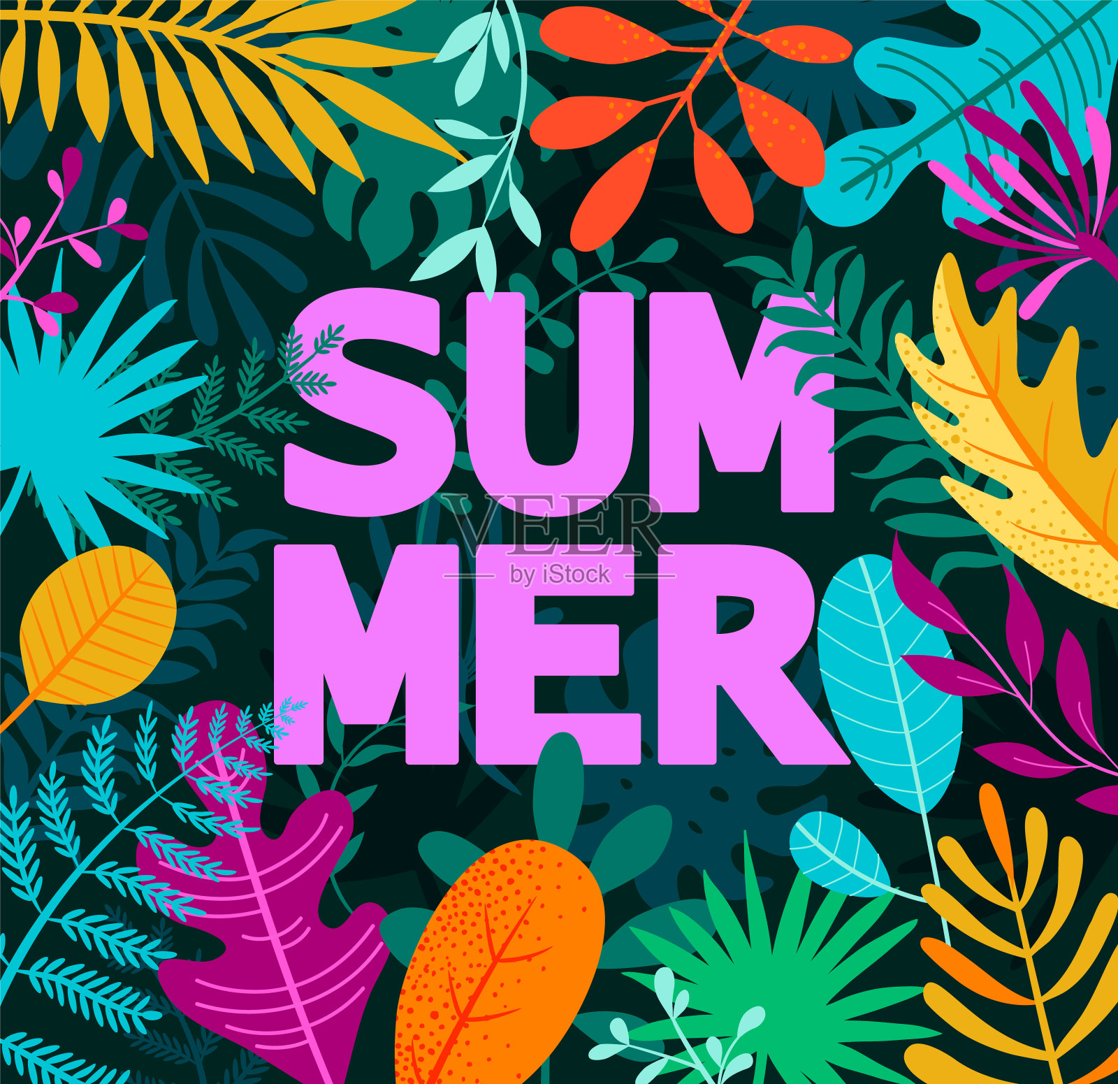 2019年夏季贺卡上的热带树叶。插画图片素材
