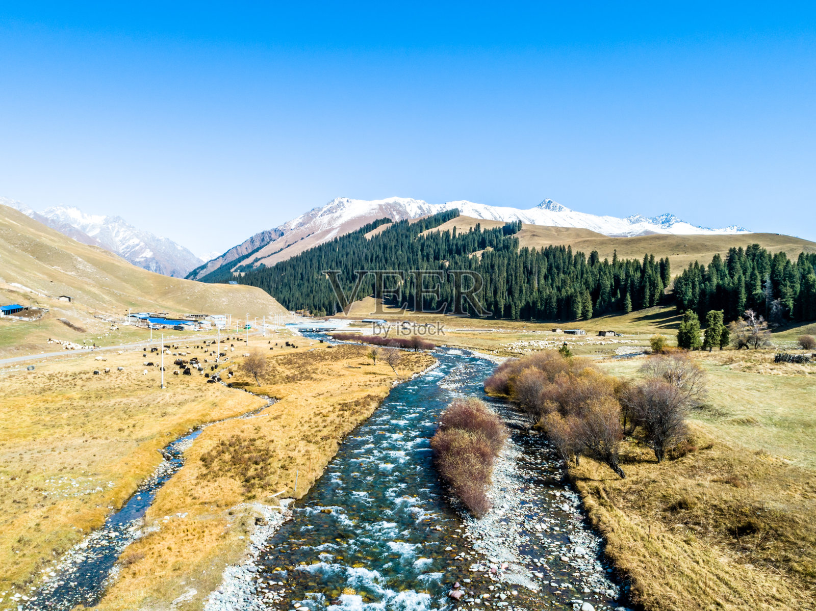 中国新疆工乃寺森林公园的高海拔河流照片摄影图片