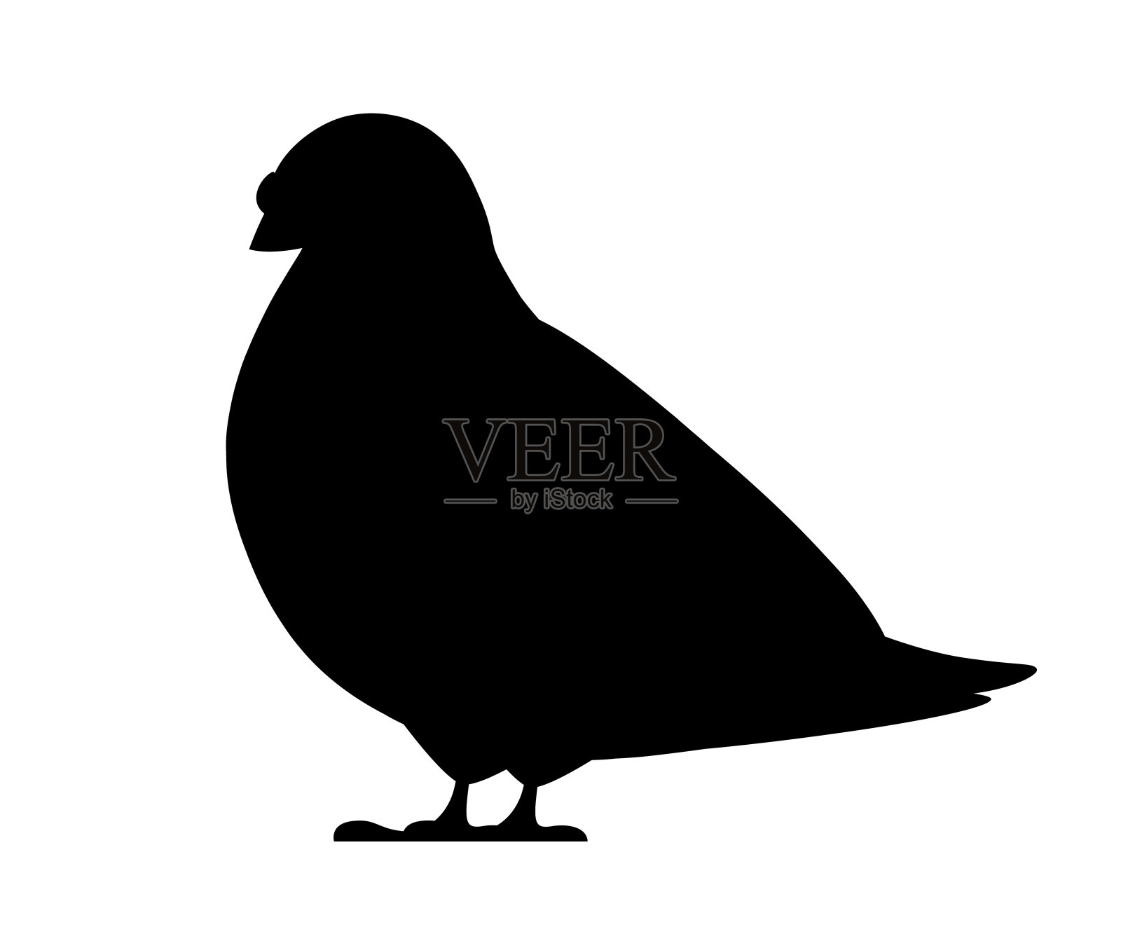 黑色的轮廓。鸽子的鸟。平面卡通人物设计。色彩斑斓的鸟图标。可爱的鸽子模板。矢量插图孤立在白色背景设计元素图片