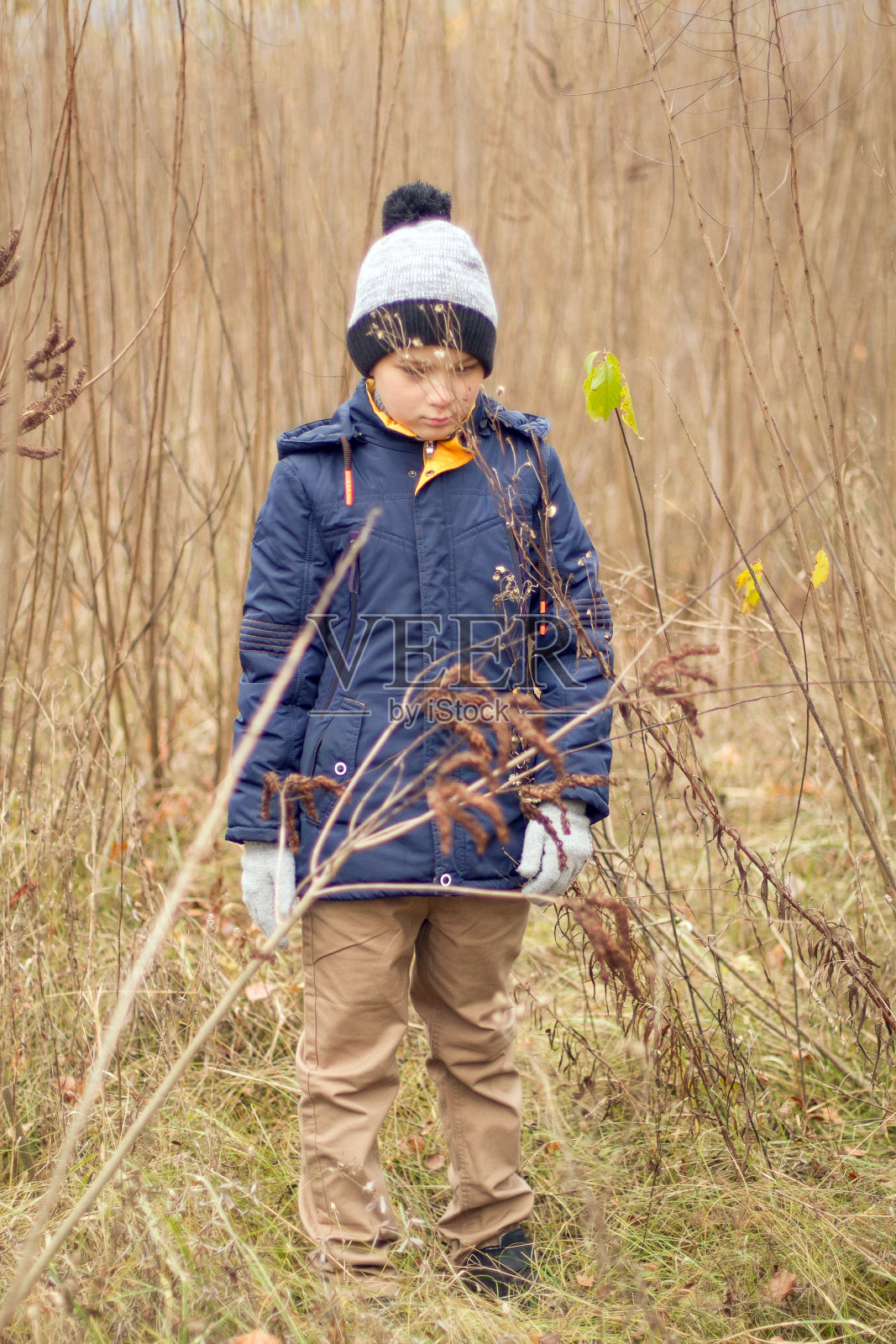 孩子在森林里迷路了。小男孩在森林里迷了路。悲伤的男孩独自穿过森林照片摄影图片