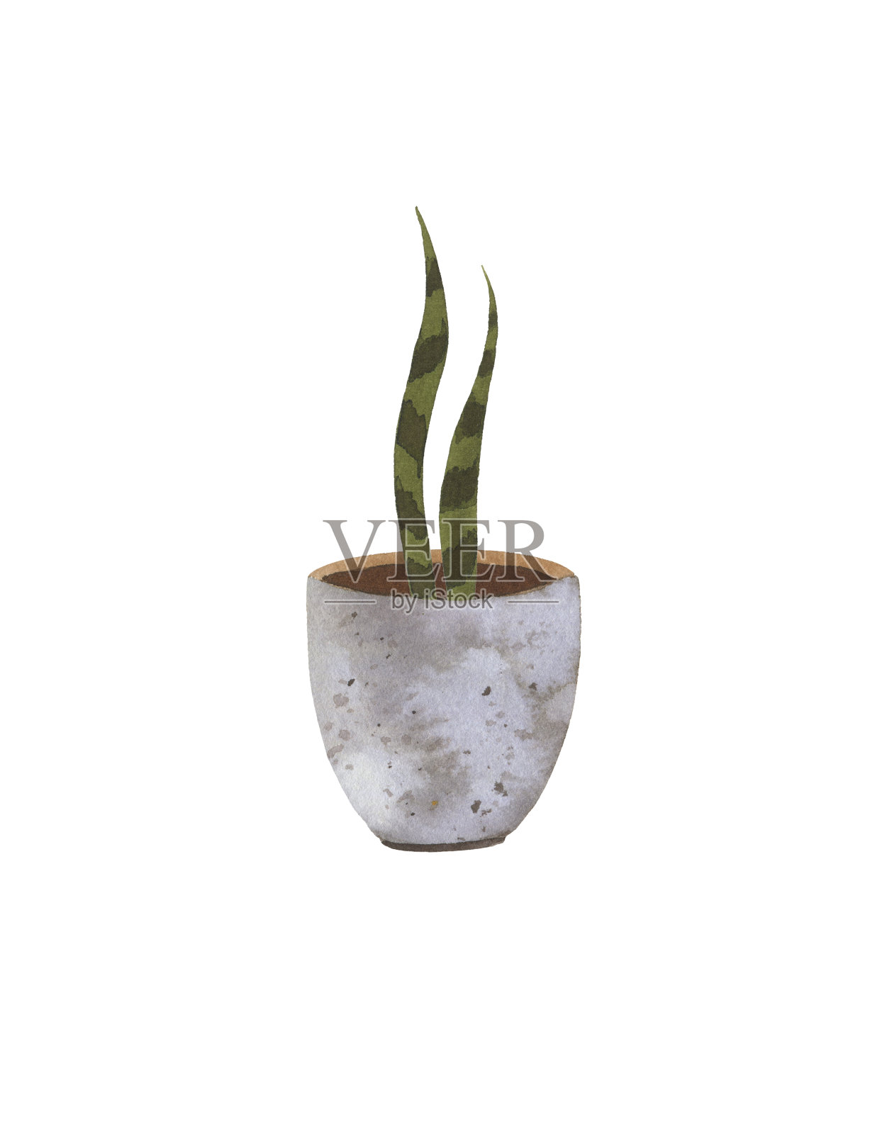 可爱的水彩植物盆栽孤立在白色的背景设计元素图片