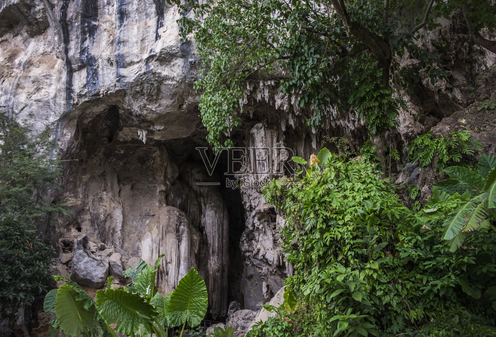 泰国甲米省的一个古老大洞的入口。照片摄影图片
