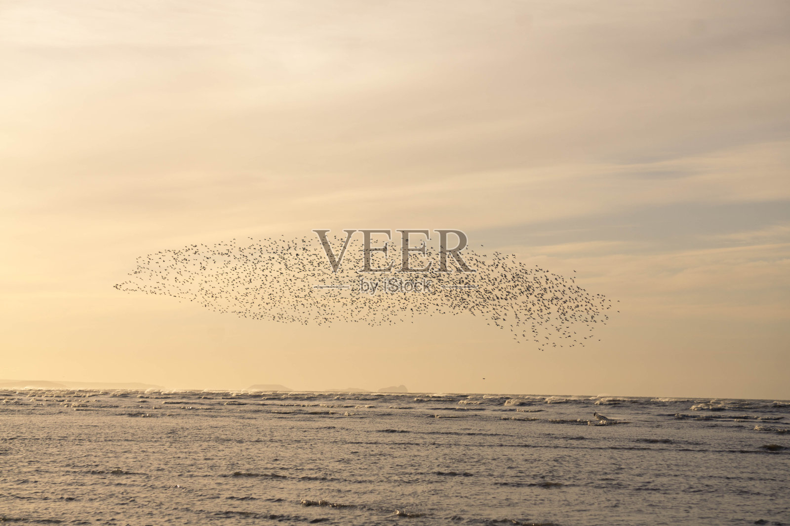 日落时一群鸟儿飞过海滩照片摄影图片