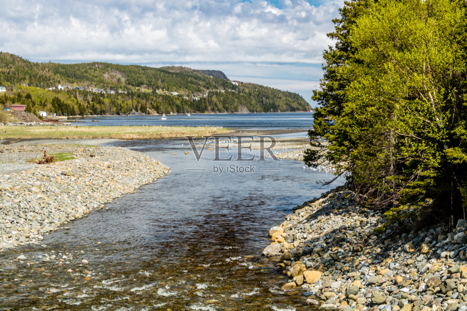 河流和小溪流入海湾和海湾，450号公路，加拿大纽芬兰照片摄影图片
