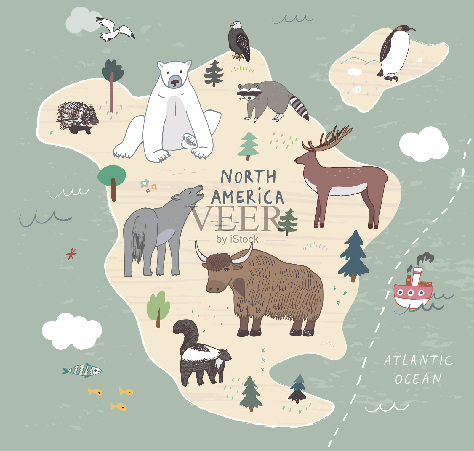 北美动物插图插画图片素材