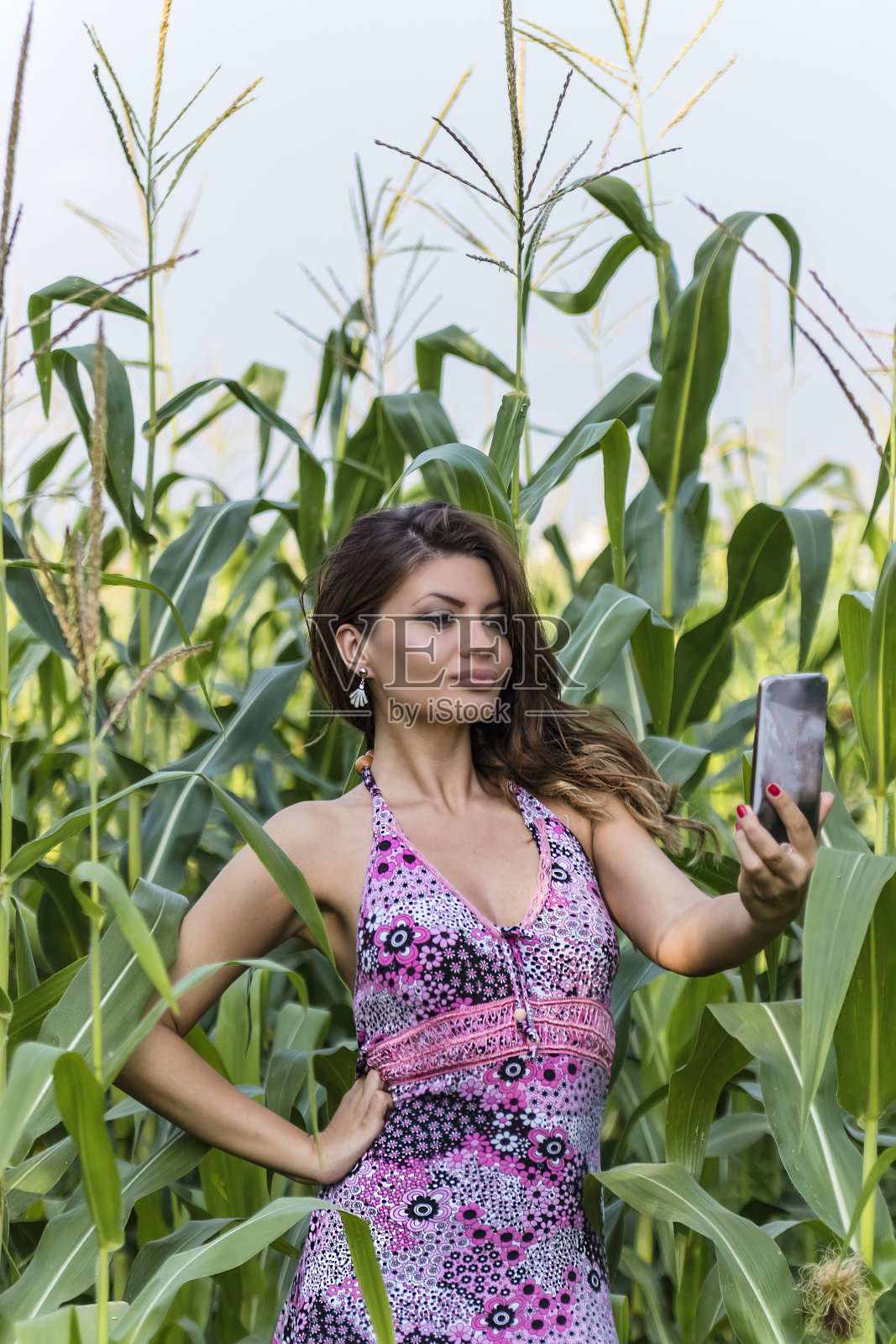 美丽的年轻女子在玉米地里自拍。照片摄影图片