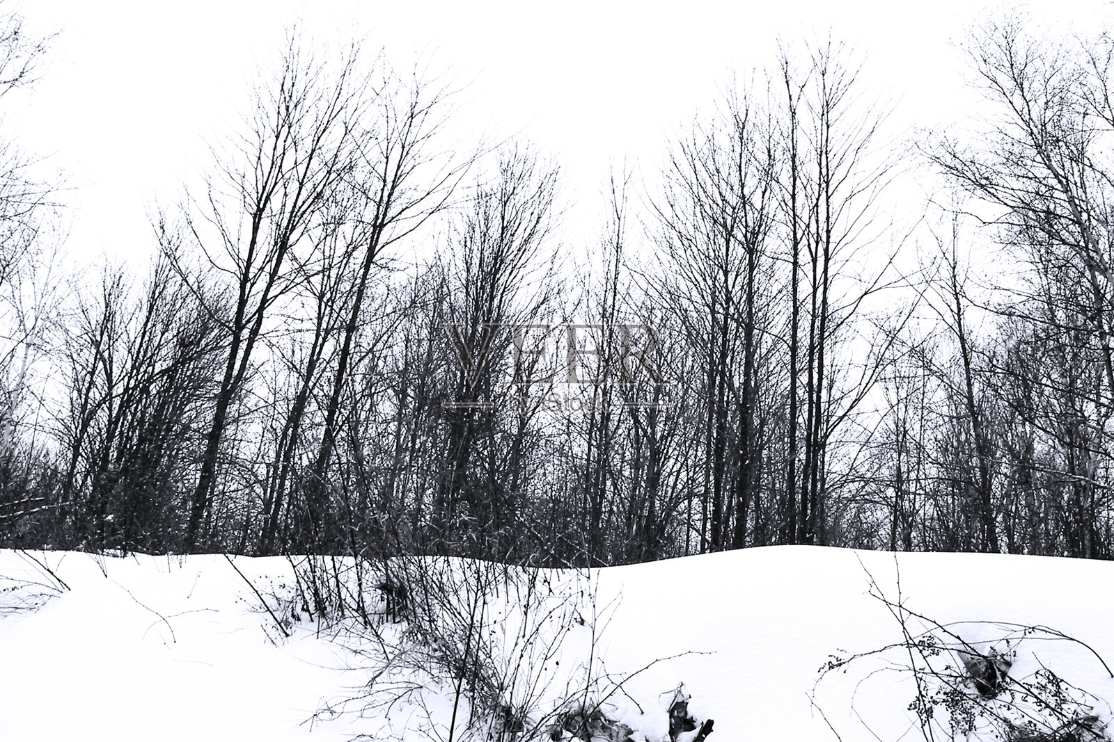 布鲁斯Pit冬季仙境E。照片摄影图片