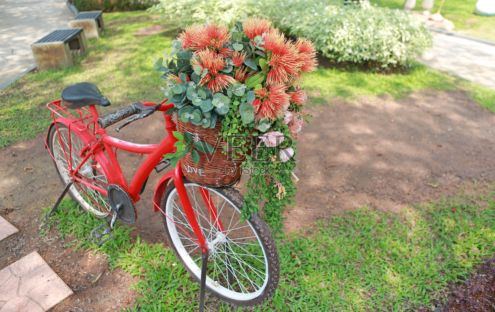 美丽的花在自行车篮子在花园。照片摄影图片