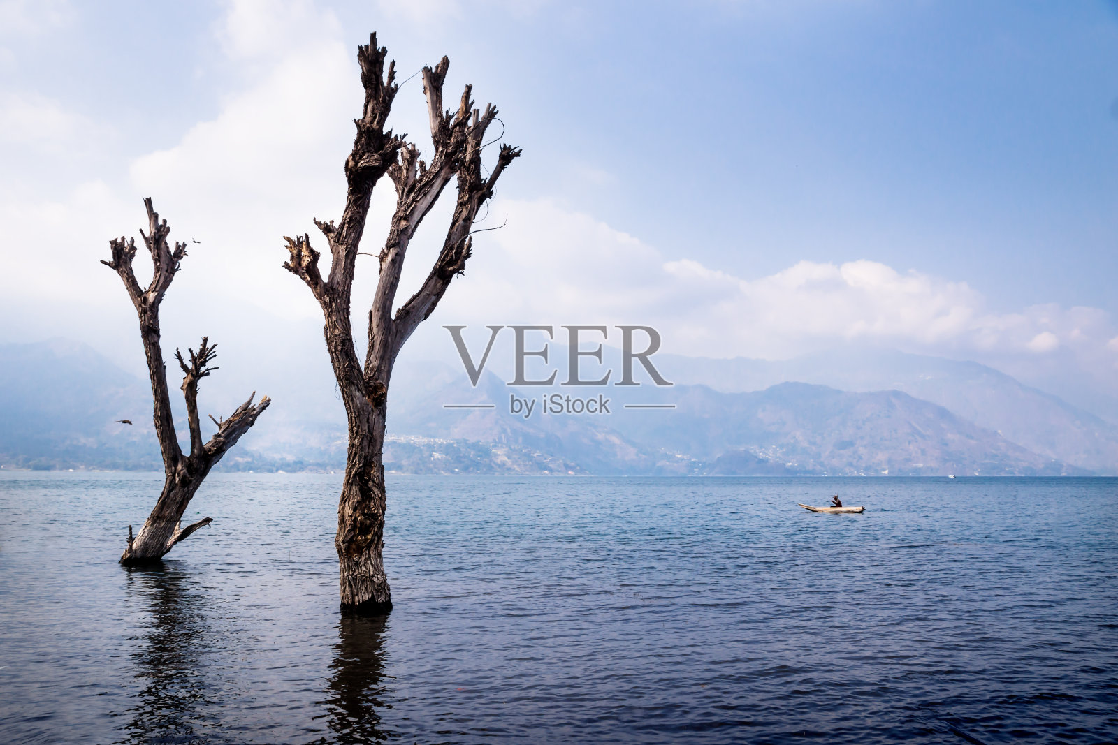 危地马拉圣佩德罗，阿提特兰湖的一棵枯树，有船和山脉照片摄影图片
