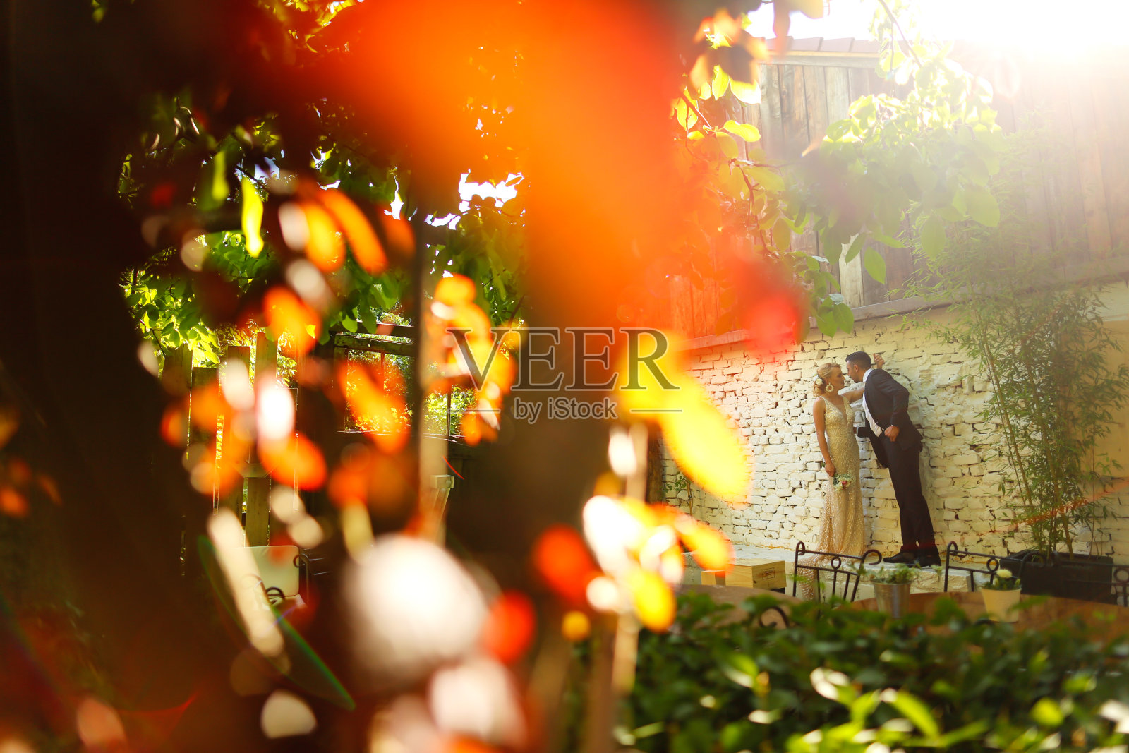 美丽的新婚夫妇在阳光明媚的一天摆姿势在花园照片摄影图片