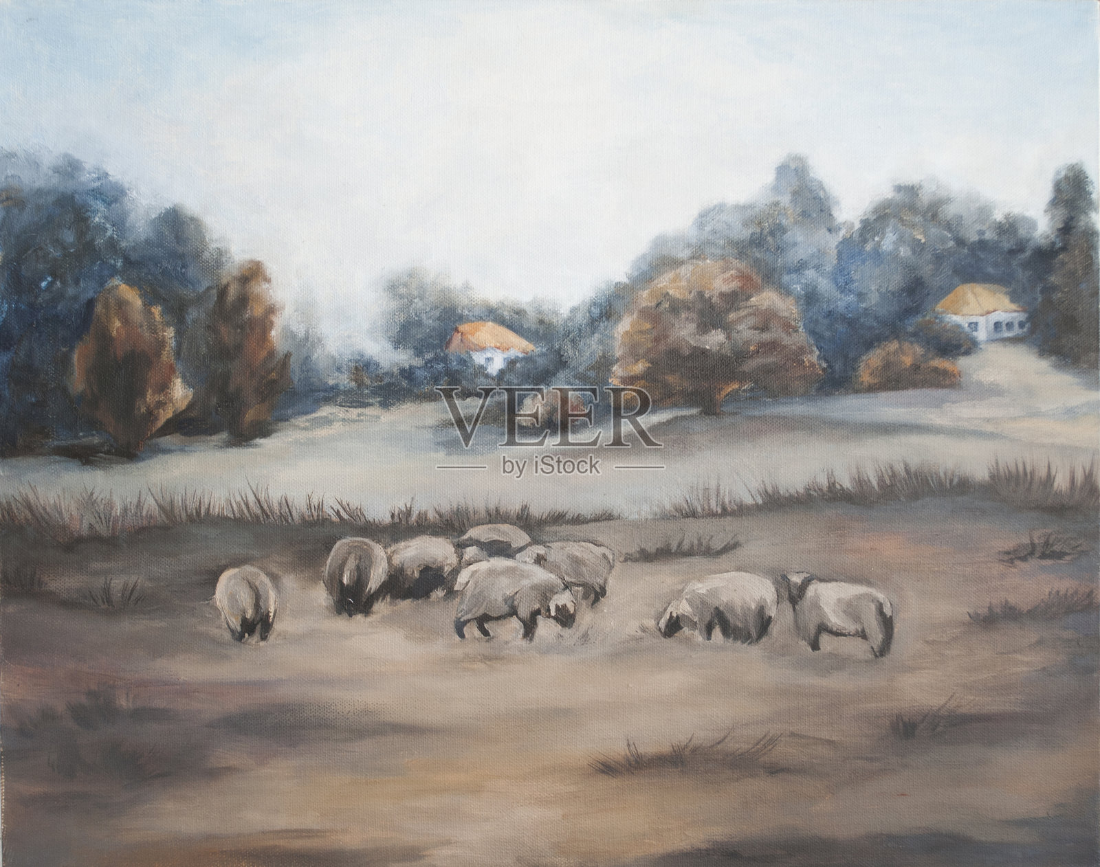 乡村的早晨，羊在吃草，乡村的风景插画图片素材