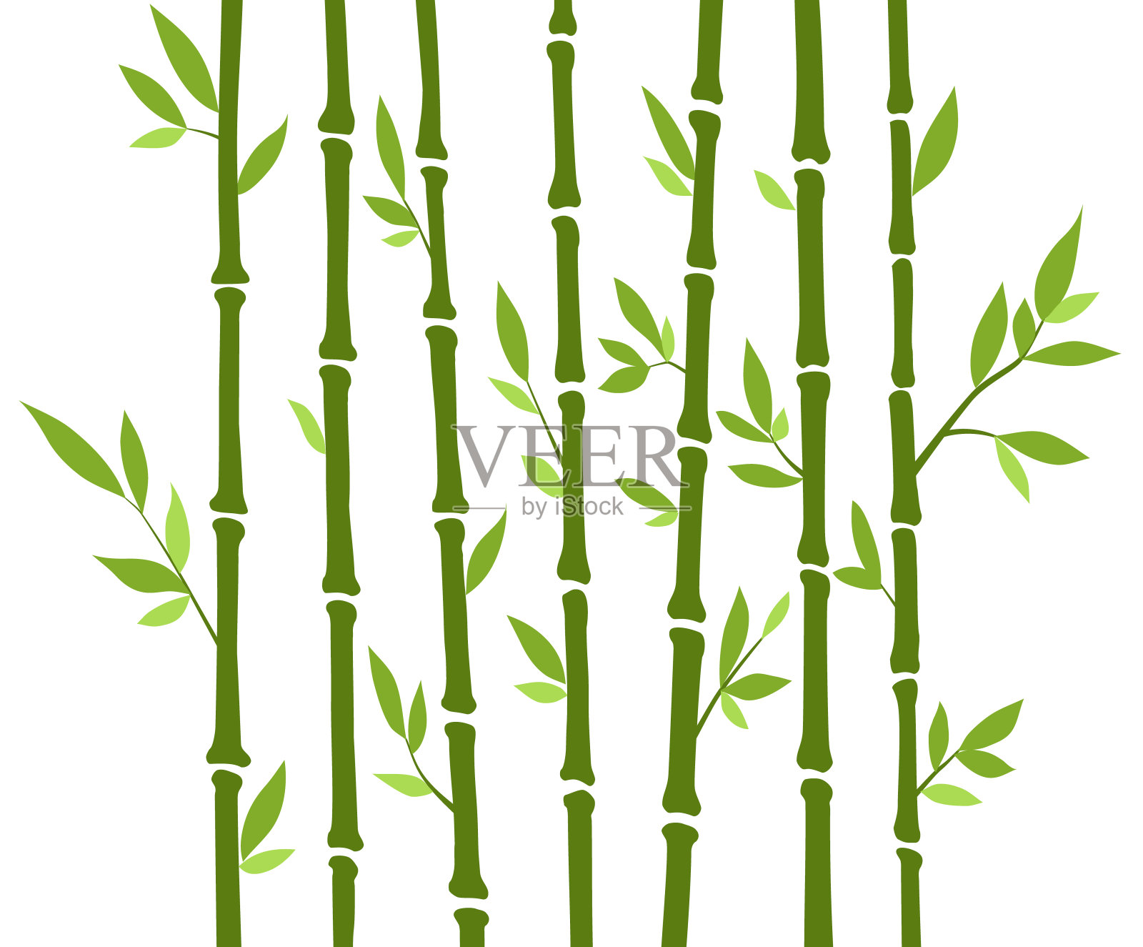 竹林。自然日本、中国。种植有叶子的绿树。在亚洲热带雨林插画图片素材