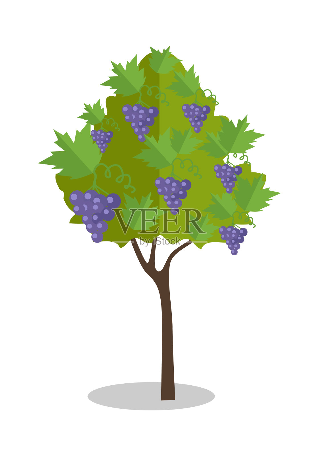 紫葡萄挂在灌木上插画图片素材