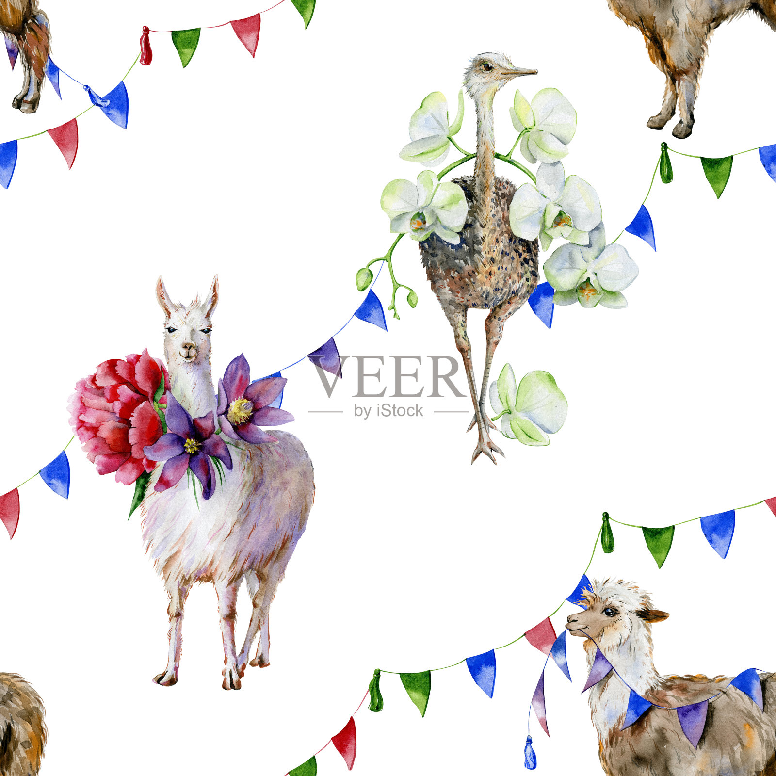 水彩无缝图案的卡通羊驼，可爱的羊驼和鸵鸟与兰花，牡丹和丝带。插画图片素材