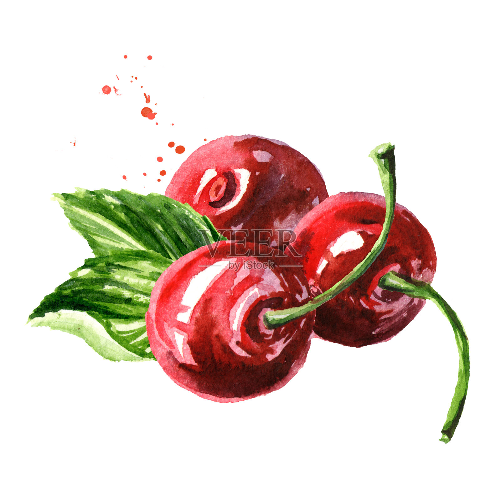 新鲜成熟的红樱桃，水彩手绘插图孤立的白色背景插画图片素材