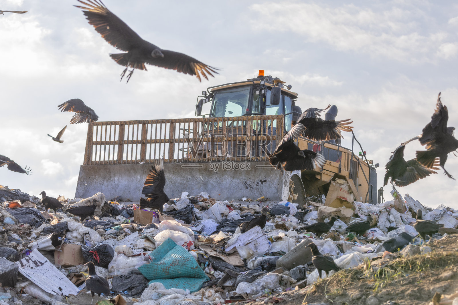 推土机在垃圾填埋场推垃圾，黑秃鹫在等待食物照片摄影图片