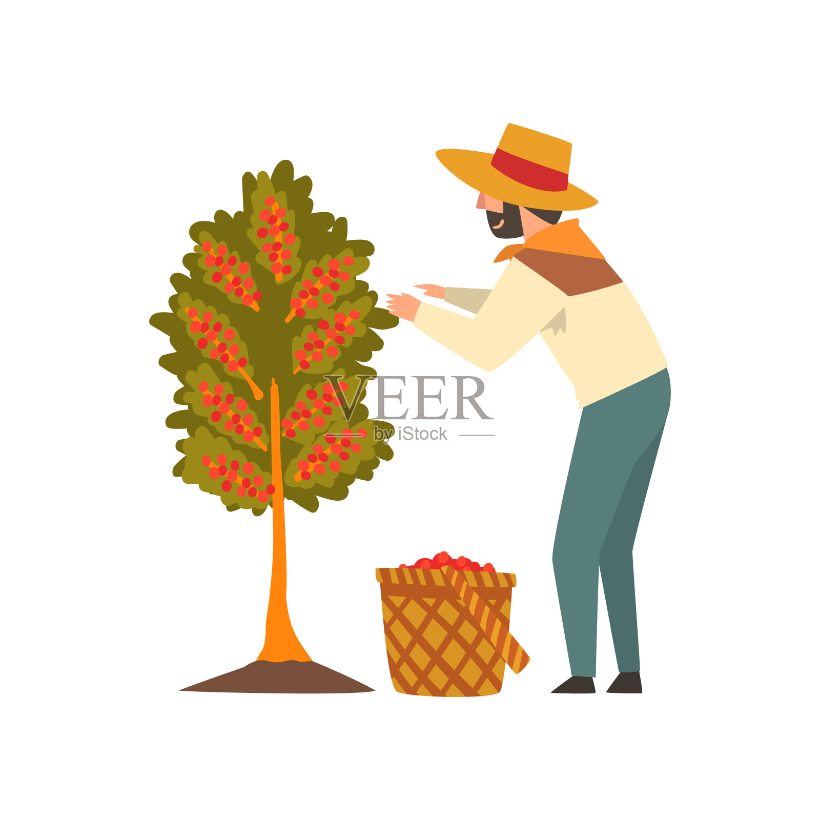 戴草帽的男农民在树上采摘红豆，咖啡产业生产阶段矢量插图插画图片素材