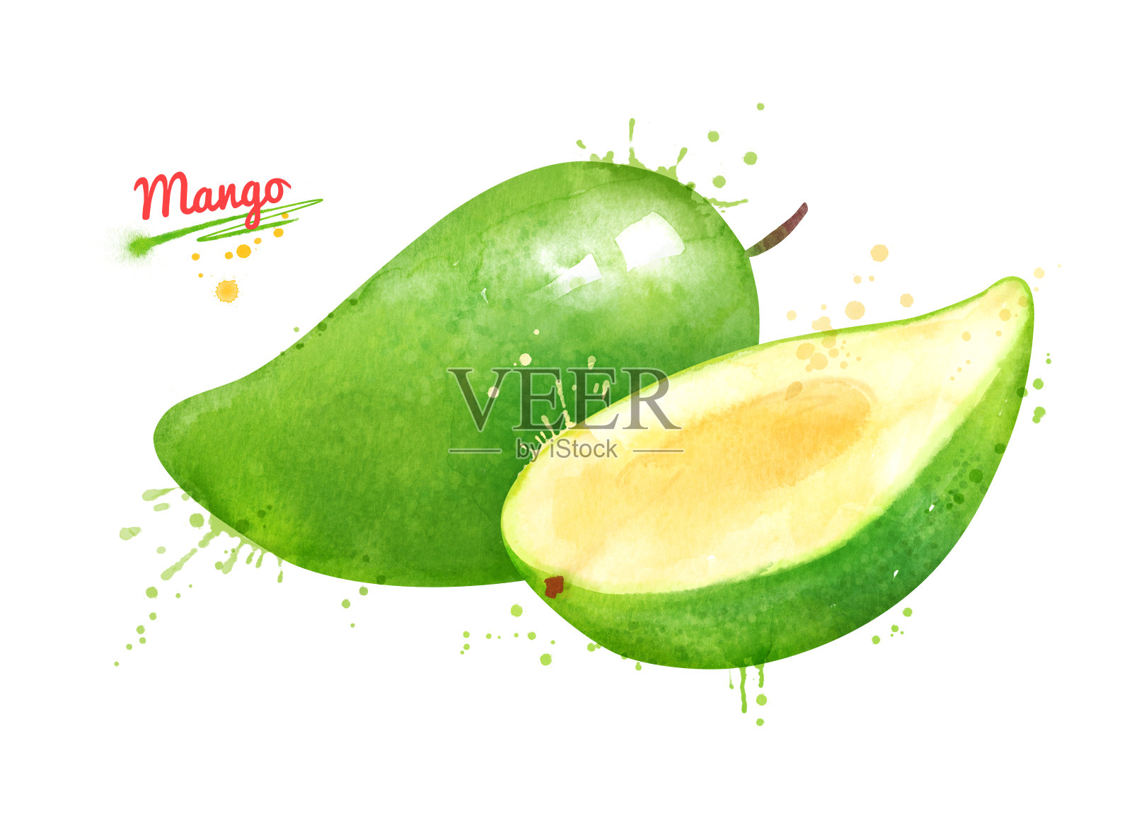 绿色芒果的水彩画插图插画图片素材