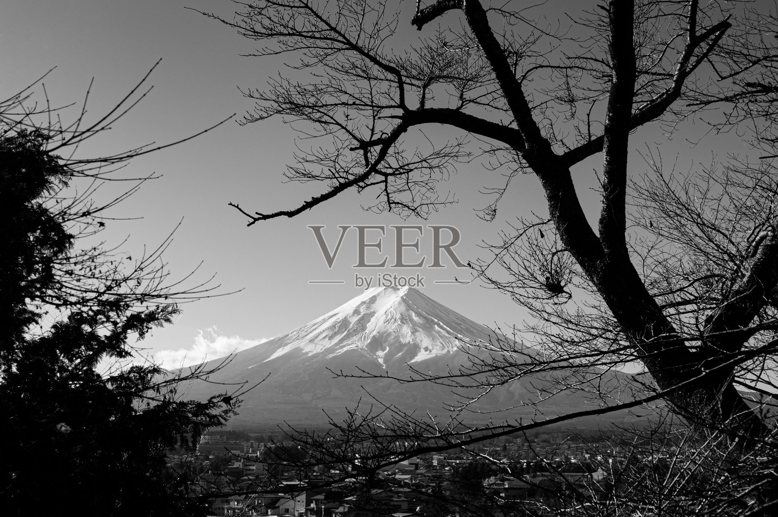 富士山与白雪和天空，秋天的树与下吉田市的黑白照片摄影图片