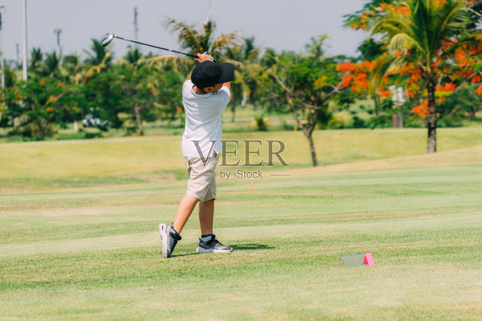 男孩在绿色的球场打高尔夫球照片摄影图片