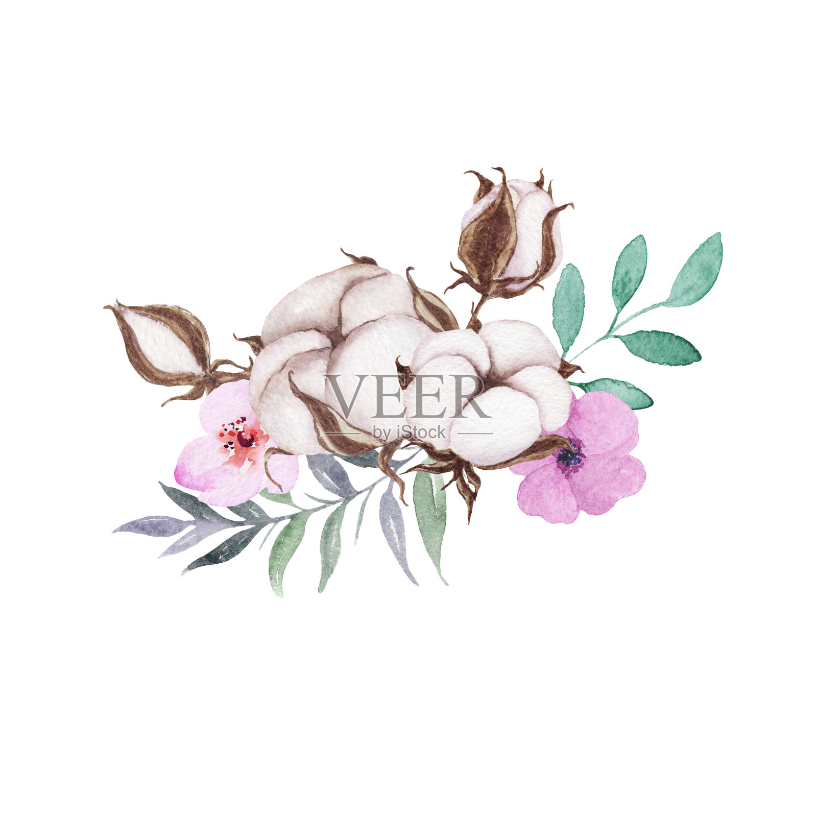 水彩牡丹、棉花、野花花束。叶、花、枝的艺术组合。手绘植物插图。孤立的花，在白色的背景上成花状。插画图片素材