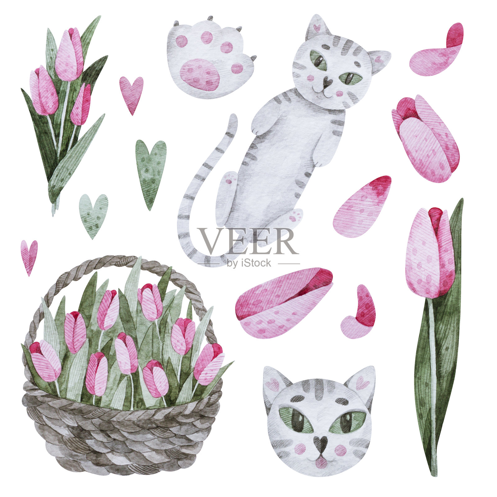 猫和花插画图片素材