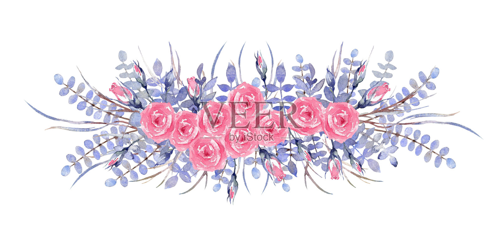 一束束粉红色的玫瑰。绿色植物的组成由淡蓝色桉树，口叶花，天然格利维叶和粉色玫瑰组成。水彩插图。插画图片素材