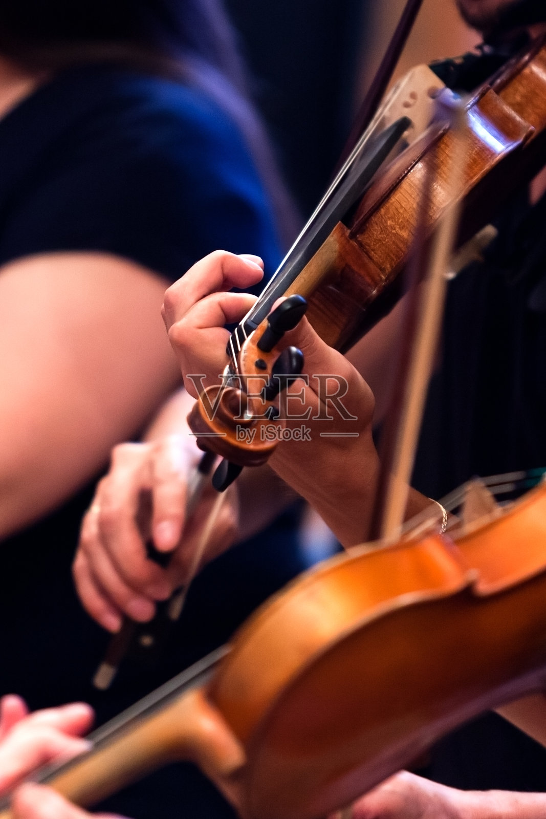 音乐家手中的小提琴照片摄影图片