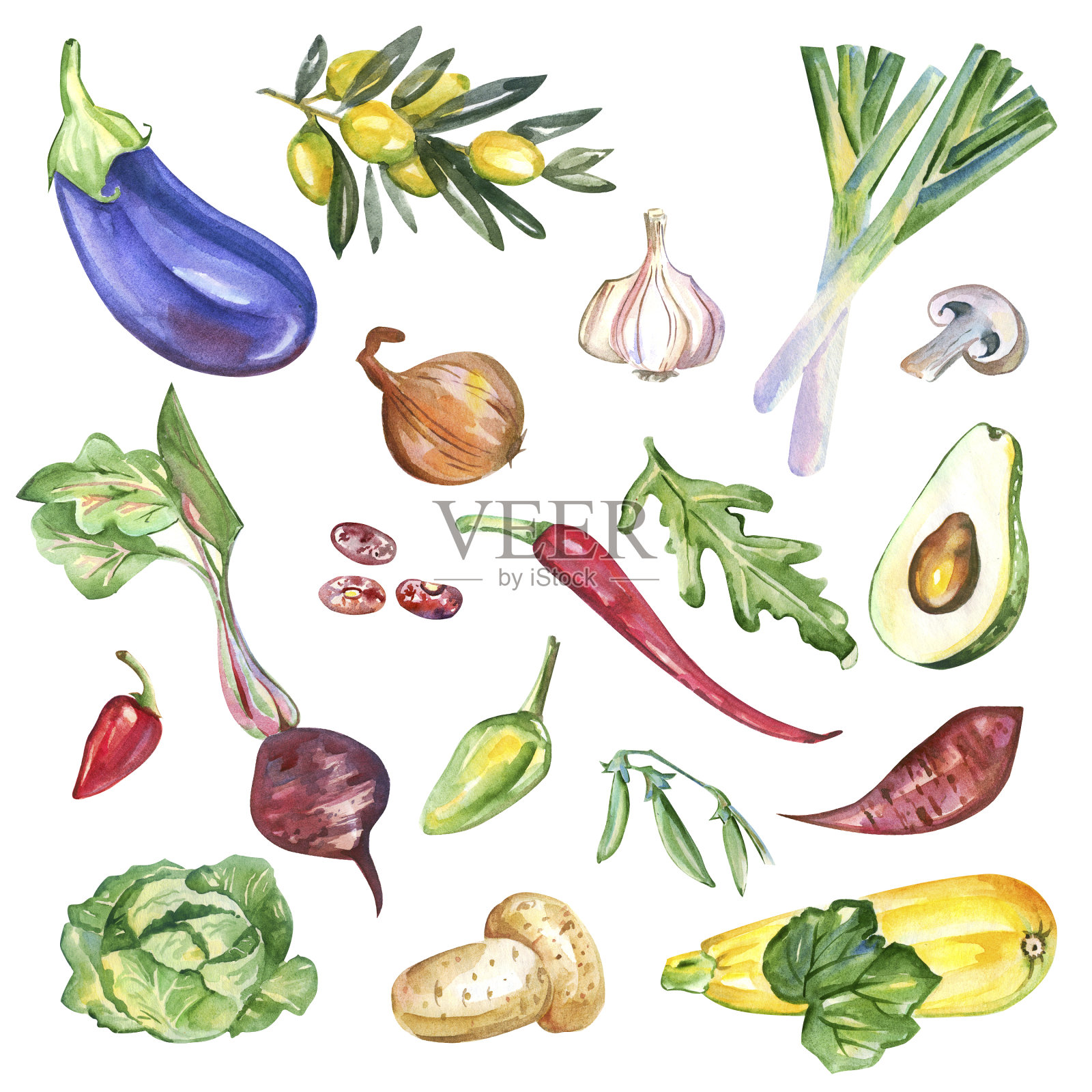 水彩蔬菜孤立的白色背景图案插画图片素材