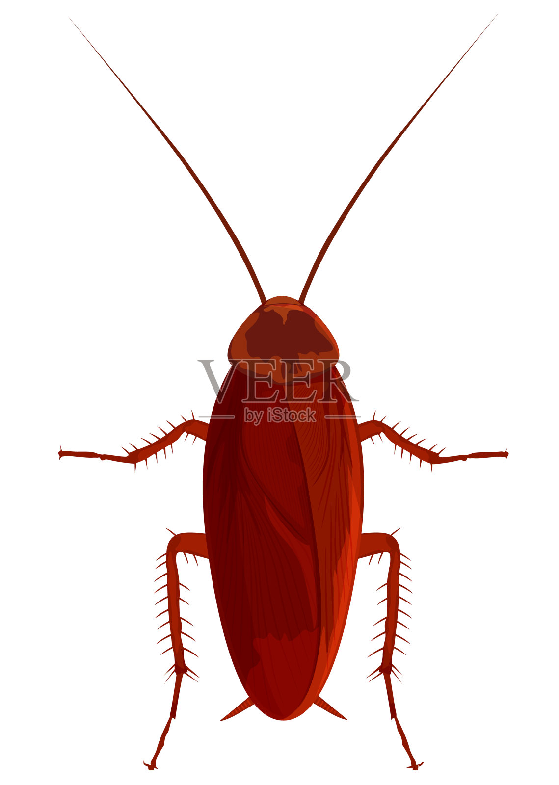 蟑螂卡通孤立视图从上设计元素图片
