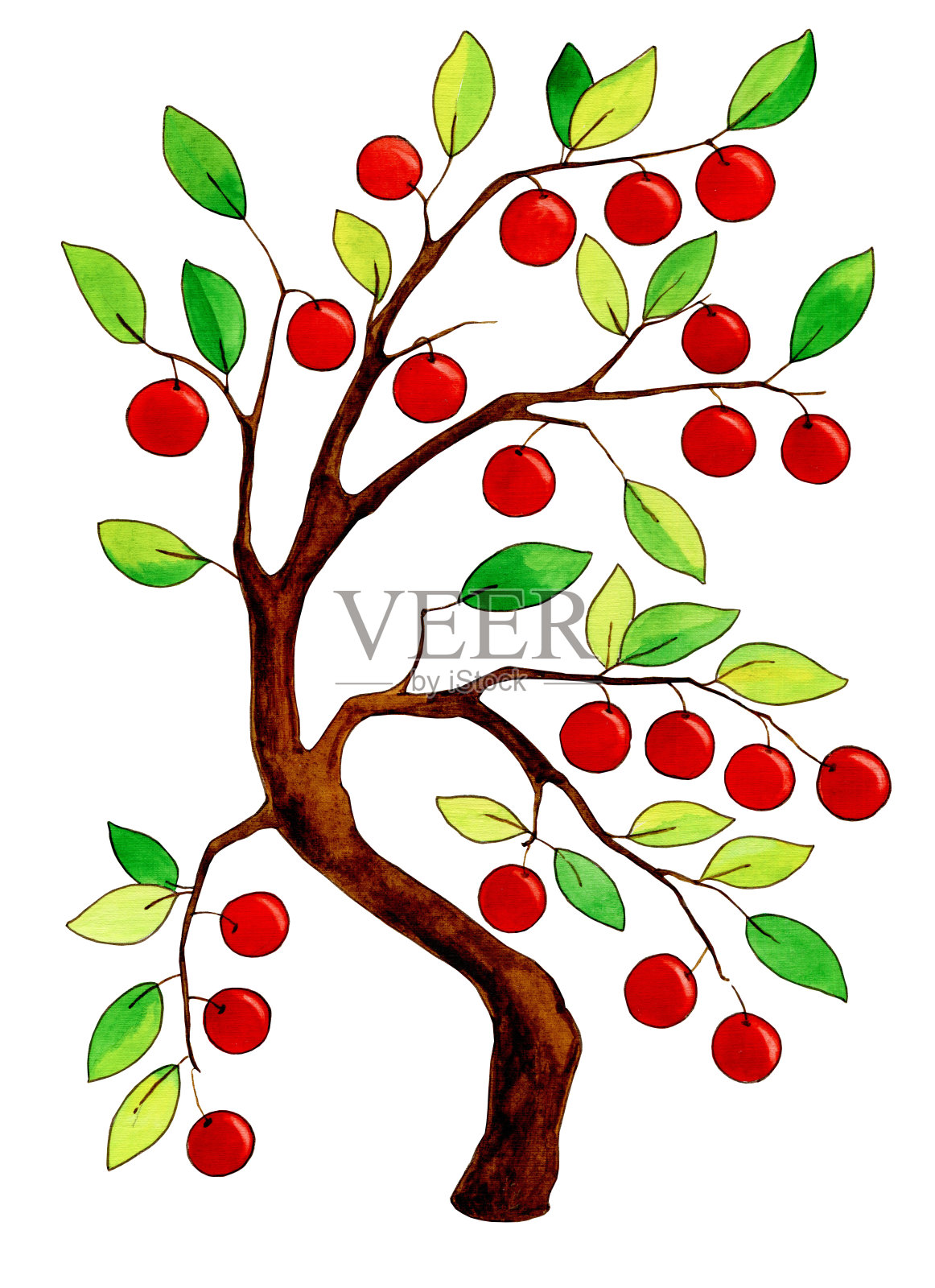 水彩苹果树与苹果在白色的背景插画图片素材