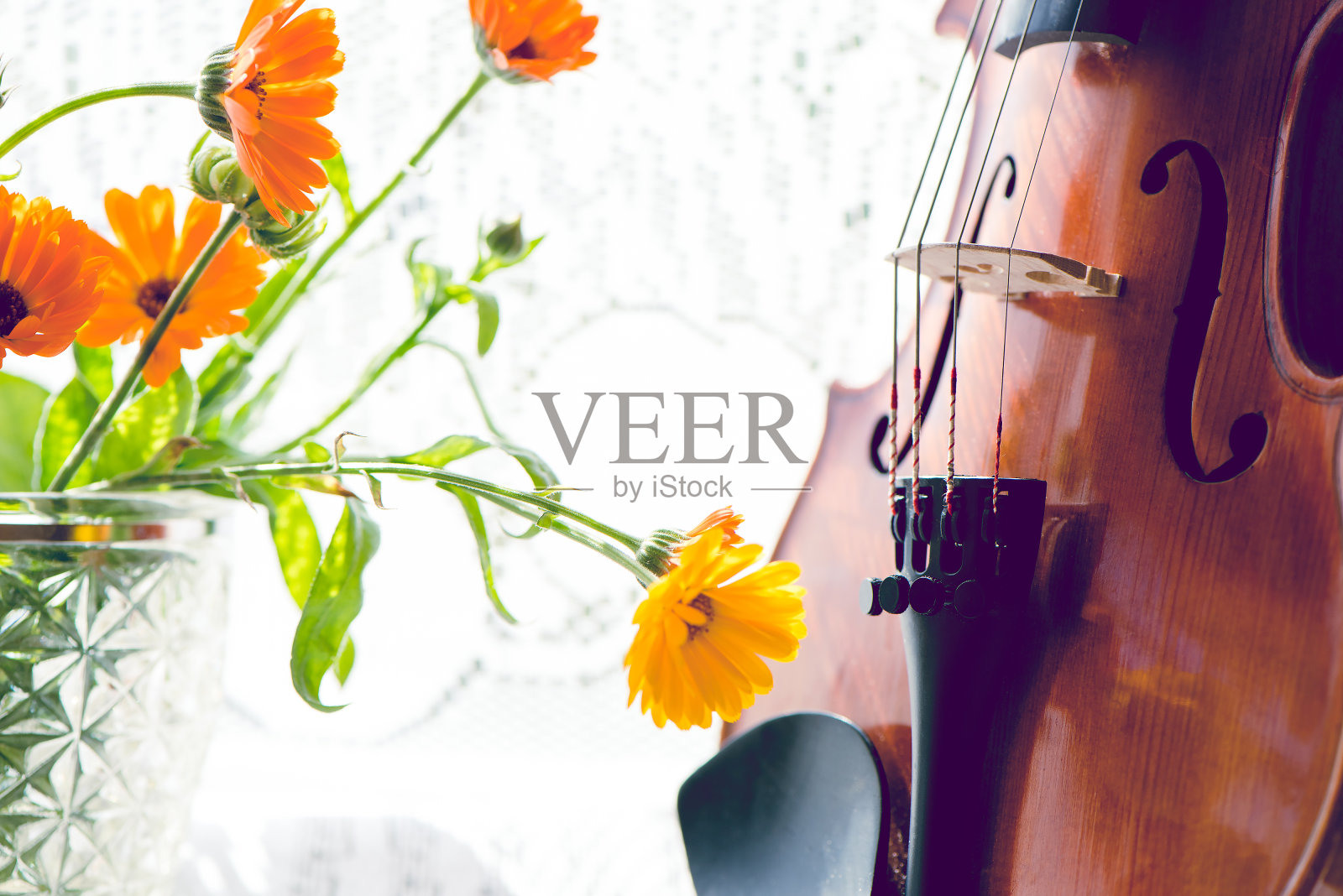 带乐谱和鲜花的小提琴的下半部分，小提琴的正面在窗户背景上。照片摄影图片