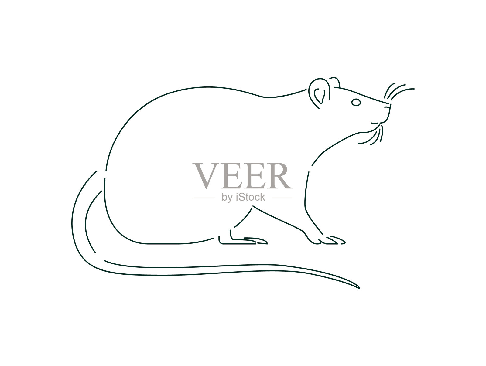单纯白鼠或小鼠动物轮廓孤立插画图片素材