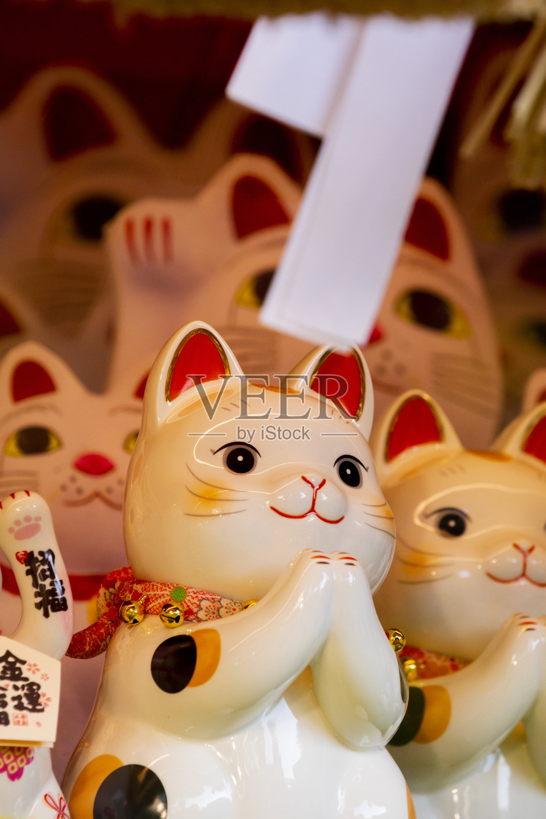 陶瓷、日本、幸运猫、陈列柜、缙云来福照片摄影图片